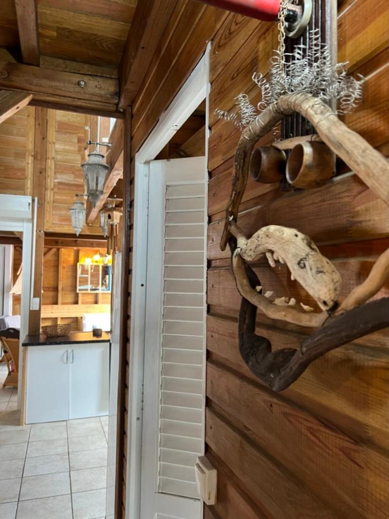 Appartement Le Cocon De Lollita à Sainte-Anne  Extérieur photo