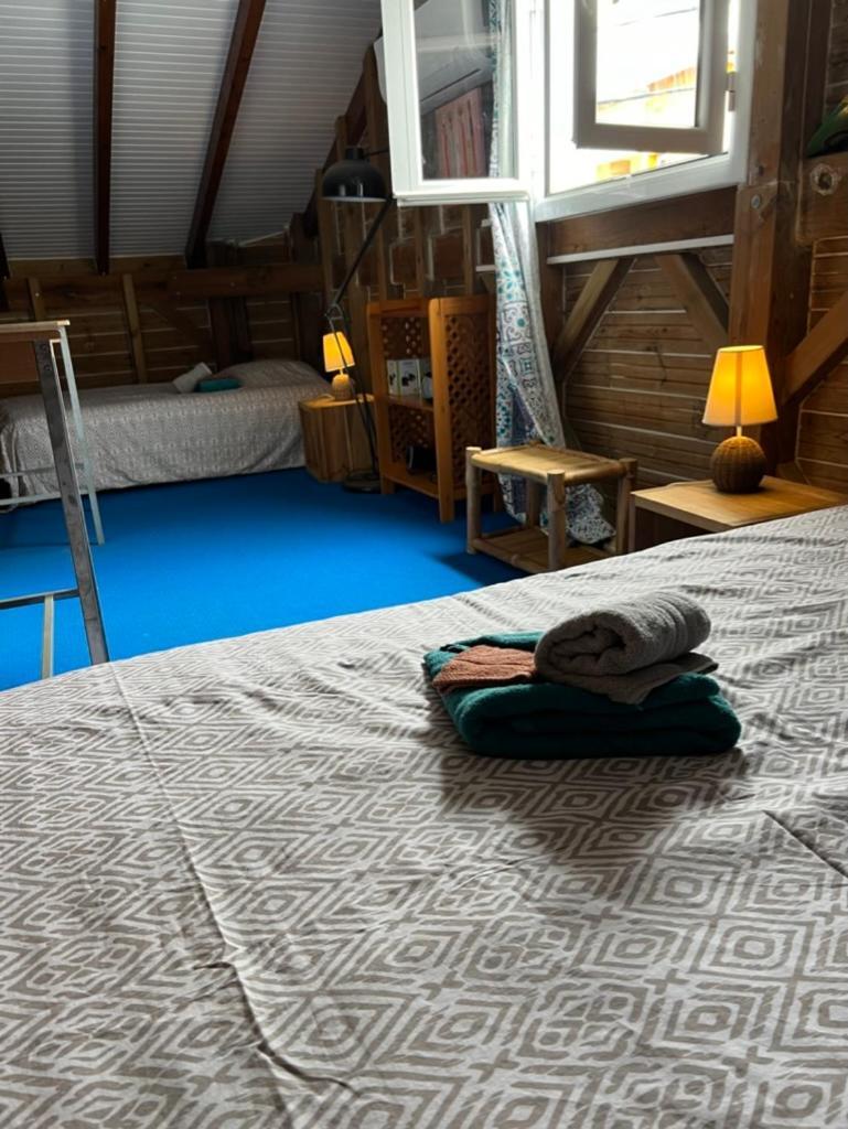 Appartement Le Cocon De Lollita à Sainte-Anne  Extérieur photo